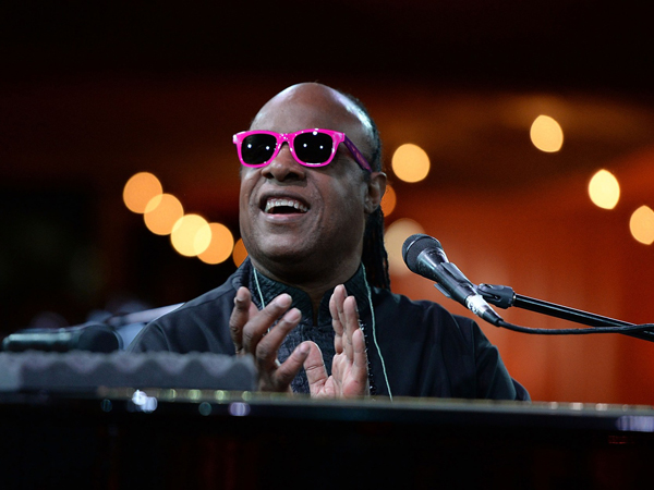 12 Stevie Wonder