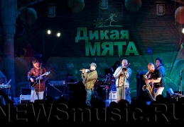Safety magic на «Дикой мяте»