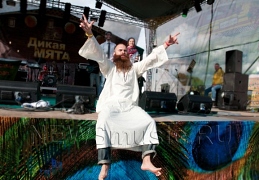 Radikkl Beatz на «Дикой мяте»
