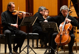 Wanderer в Сочи