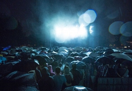 Bosco Fresh Fest
