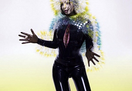 Bjork — «Vulnicura»