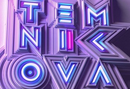 TemnikovaII