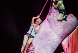 Salome-ENO-Coliseum-914