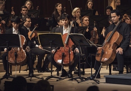 X фестиваль виолончельной музыки Vivacello