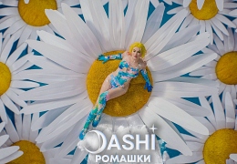 Dashi Ромашки