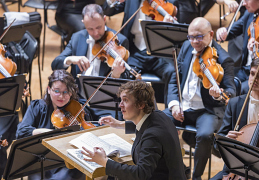 Новый год с МГАСО